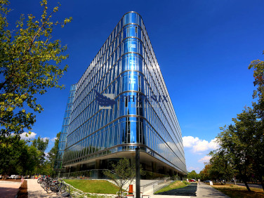 Lokal Warszawa wynajem