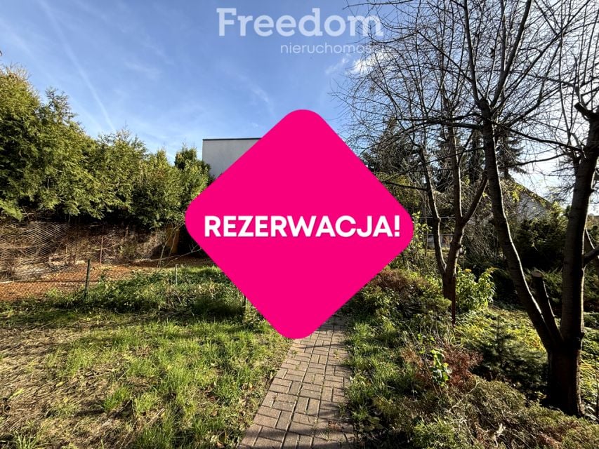 Zdjęcie 3