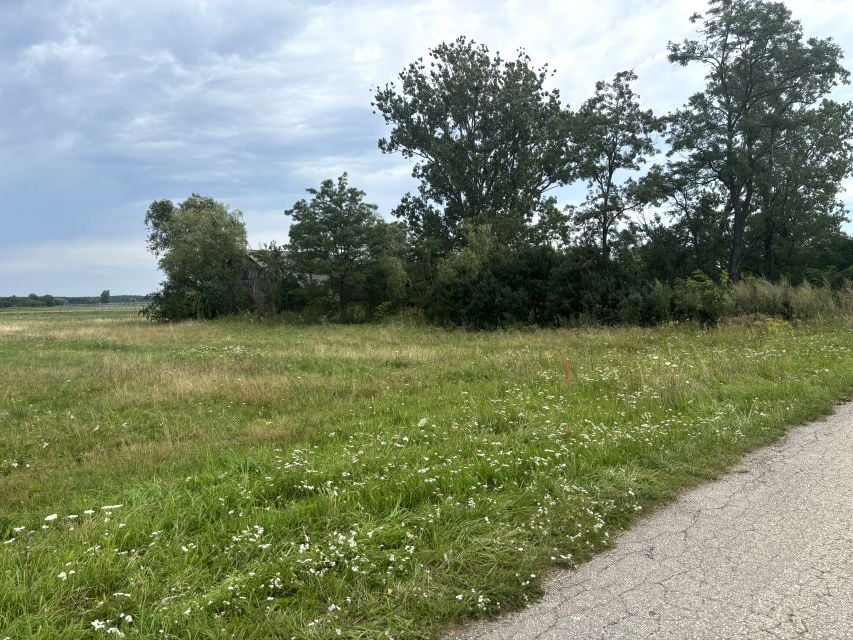 Zdjęcie 2
