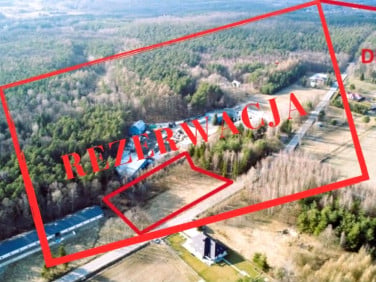 Działka Podlesie