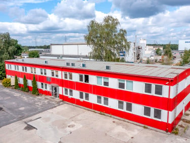 Lokal Rogowiec