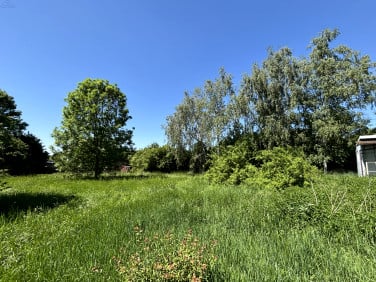 Działka budowlana Kalisz