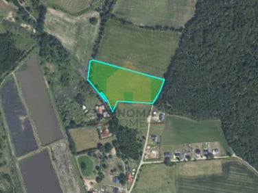 Działka Grzymalin