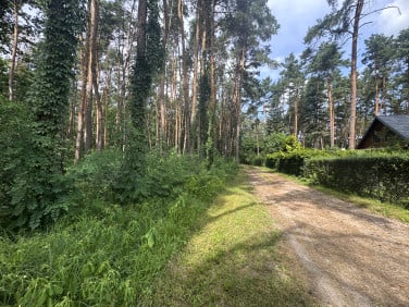 Działka budowlana Michałów-Reginów