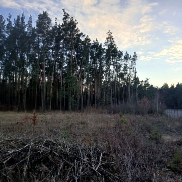 Działka budowlana Węgrów