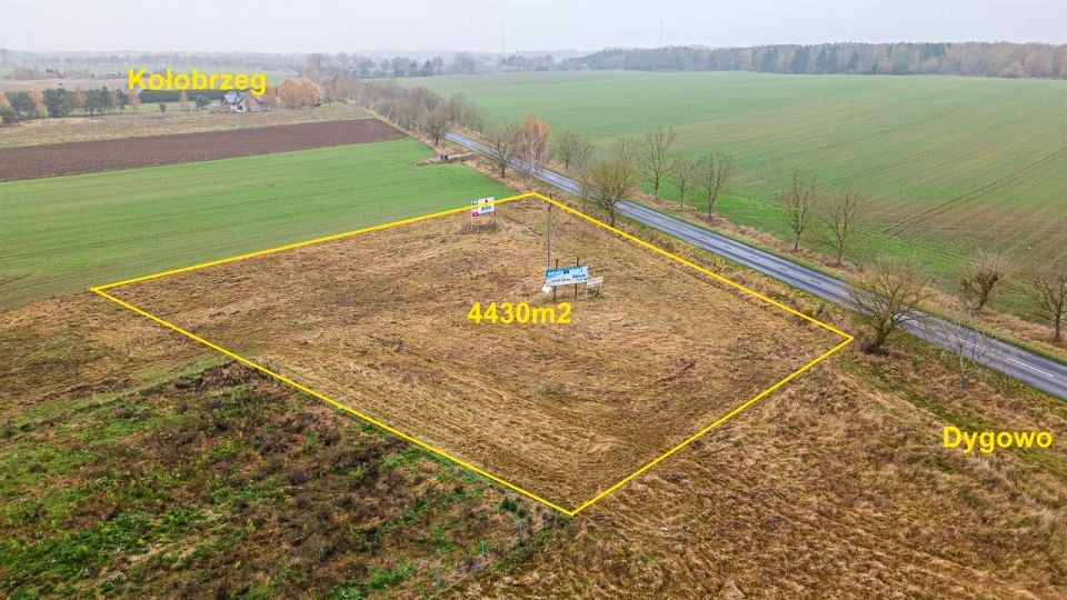 Działka budowlana Czernin sprzedam