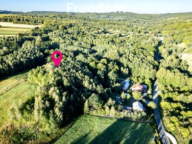 Działka leśna Świebodna