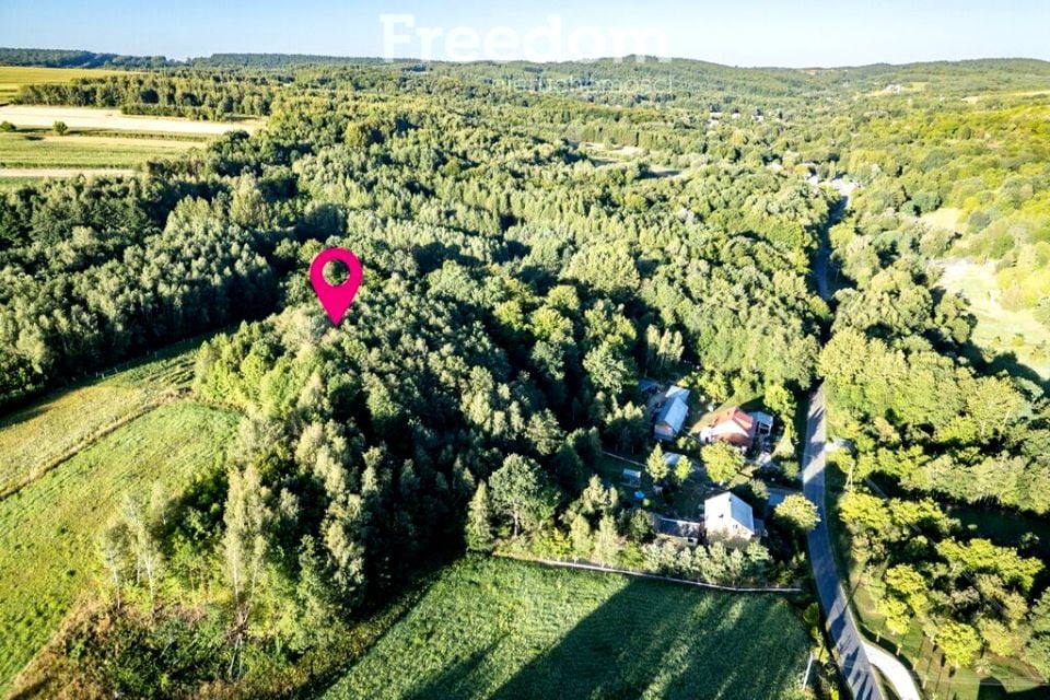 Działka leśna Świebodna