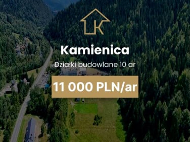 Działka przy lesie