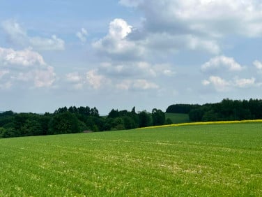 Działka budowlano-rolna Lutcza sprzedam