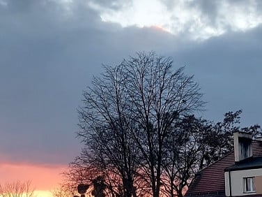 Mieszkanie Zabrze