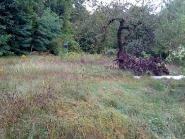 Działka inwestycyjna Łódź