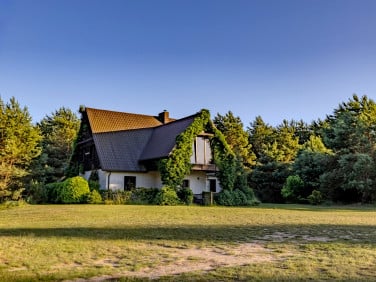 Dom Żółwin