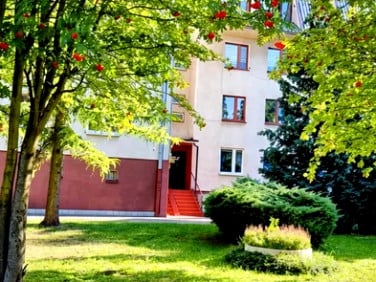 Mieszkanie Rypin