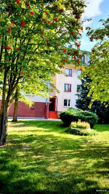 Mieszkanie Rypin