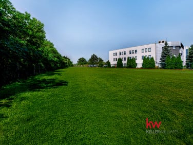 Działka usługowa wynajmę