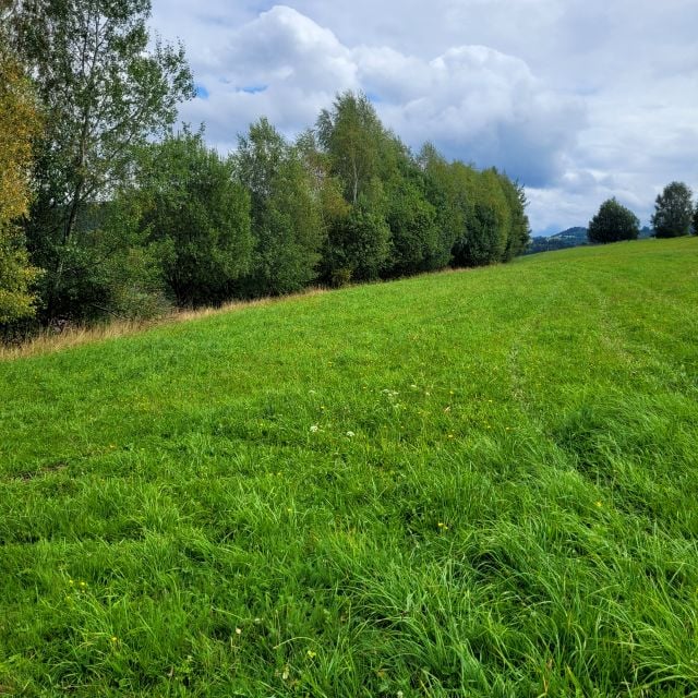 Działka budowlano-rolna Istebna