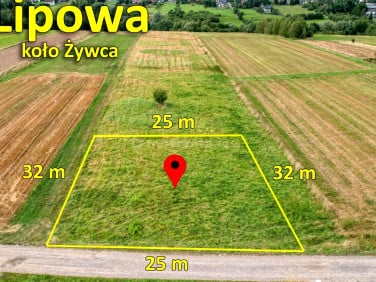 Działka budowlana Lipowa