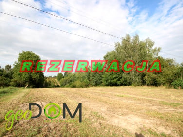 Działka budowlana Drzewce-Kolonia