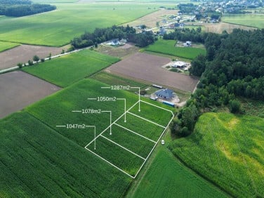 Działka budowlana Szczepankowo
