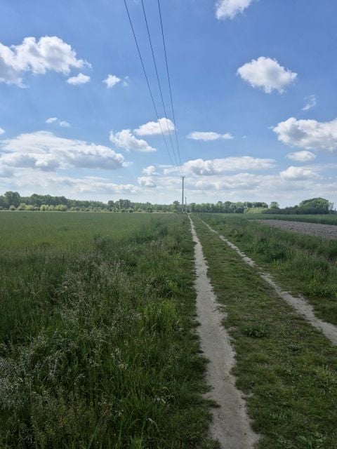Zdjęcie 2