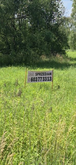 Zdjęcie 3