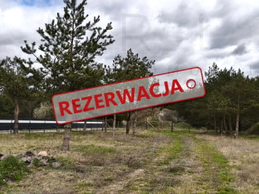 Działka budowlana Michałowo