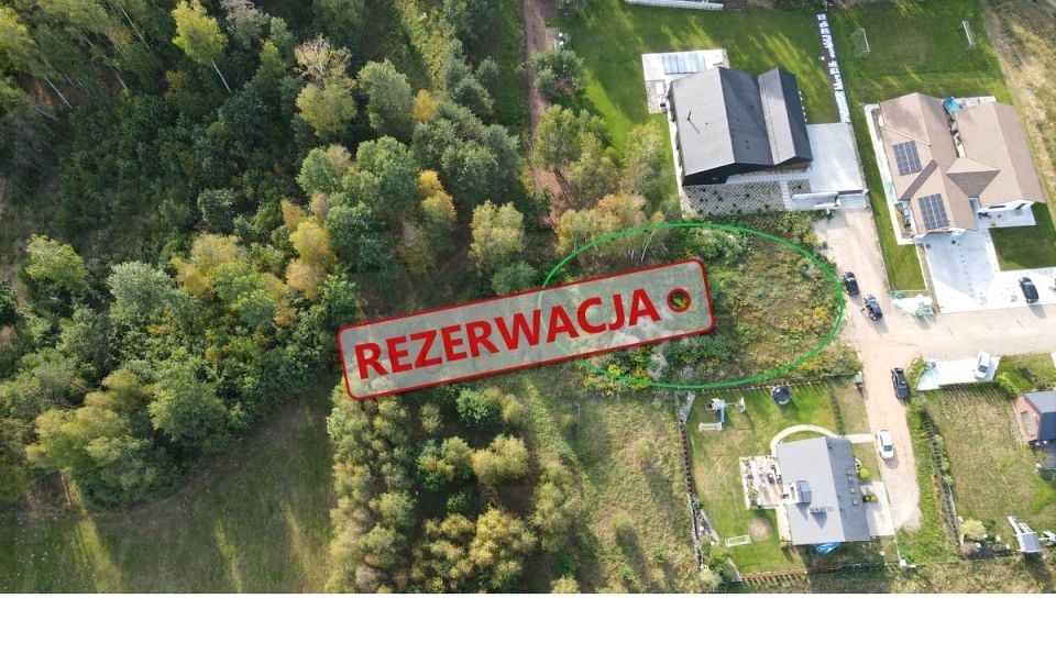 Zalesiona działka Skrybicze