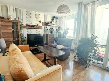Mieszkanie Zielona Góra