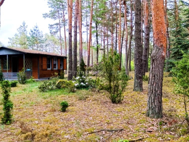 Działka budowlana Dziektarzew