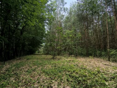 Działka budowlana Sokolniki-Las sprzedam