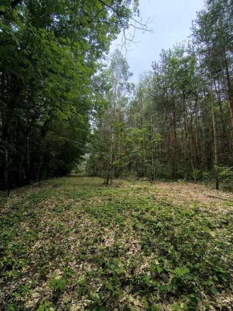 Działka budowlana, ul. Graniczna