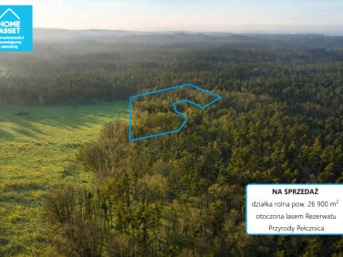 Działka nad jeziorem