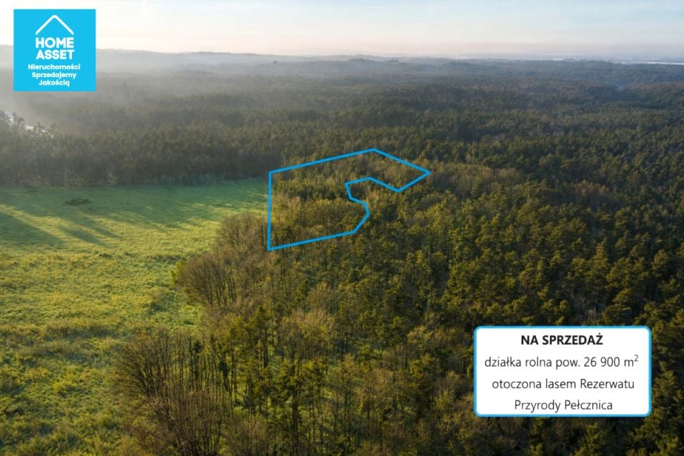 Działka nad jeziorem