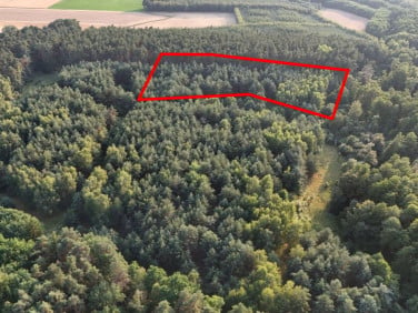 Działka inna Sławno