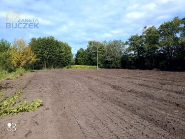 Działka budowlana Szeligi
