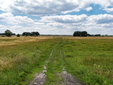 Działka rolna Głojsce