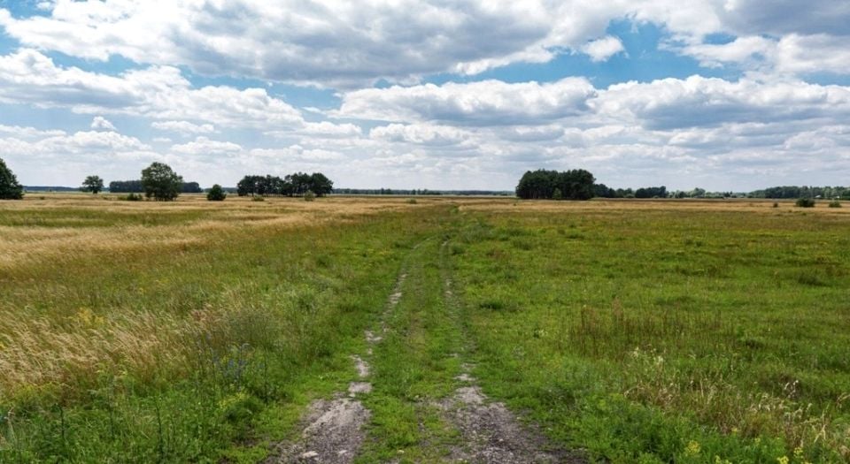 Działka rolna Głojsce