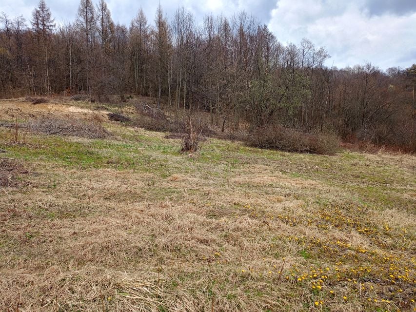 Działka budowlano-rolna Zaborów