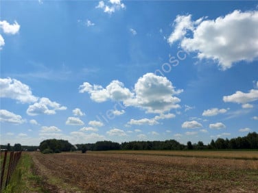 Działka Szczytnik