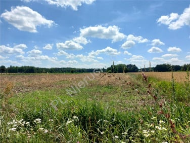 Działka budowlana Szczytnik