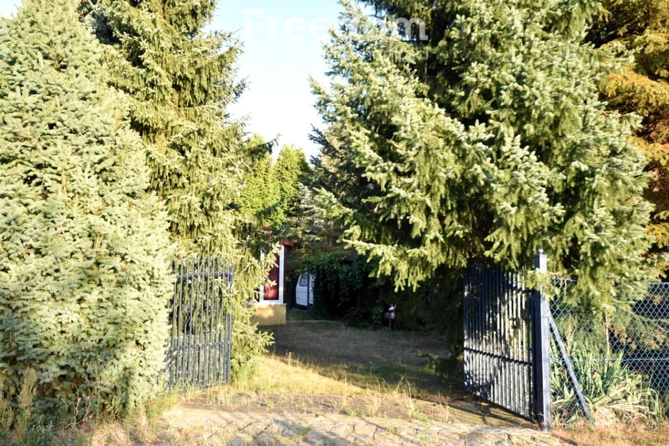 Zdjęcie 3