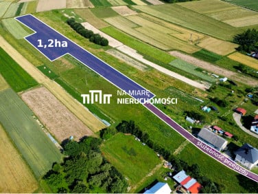 Działka UJAZD