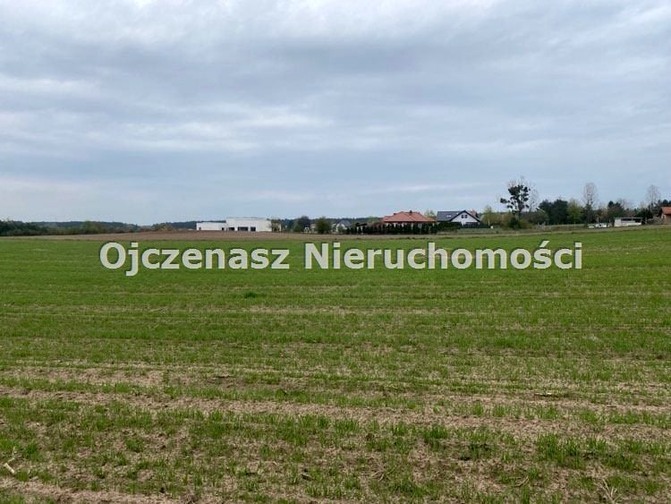 Zdjęcie 3