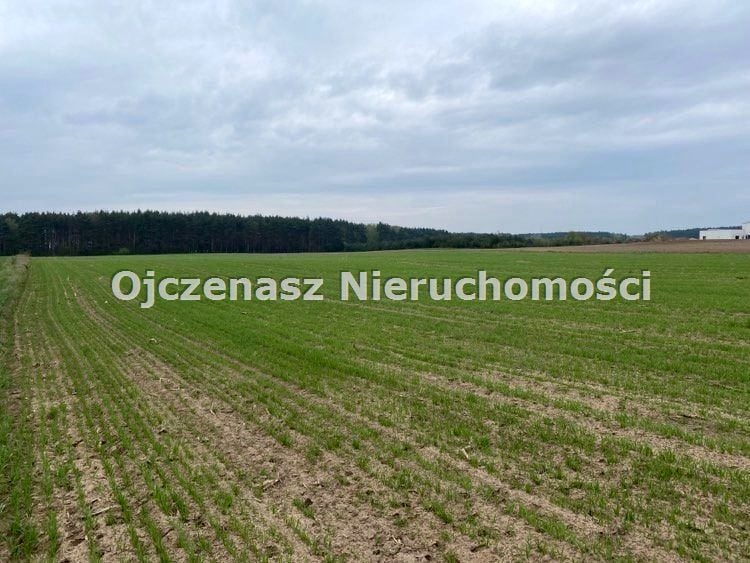 Zdjęcie 2