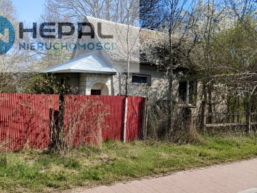 Działka przy lesie