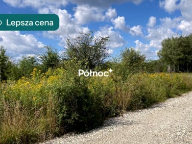 Działka przemysłowa Cikowice sprzedam