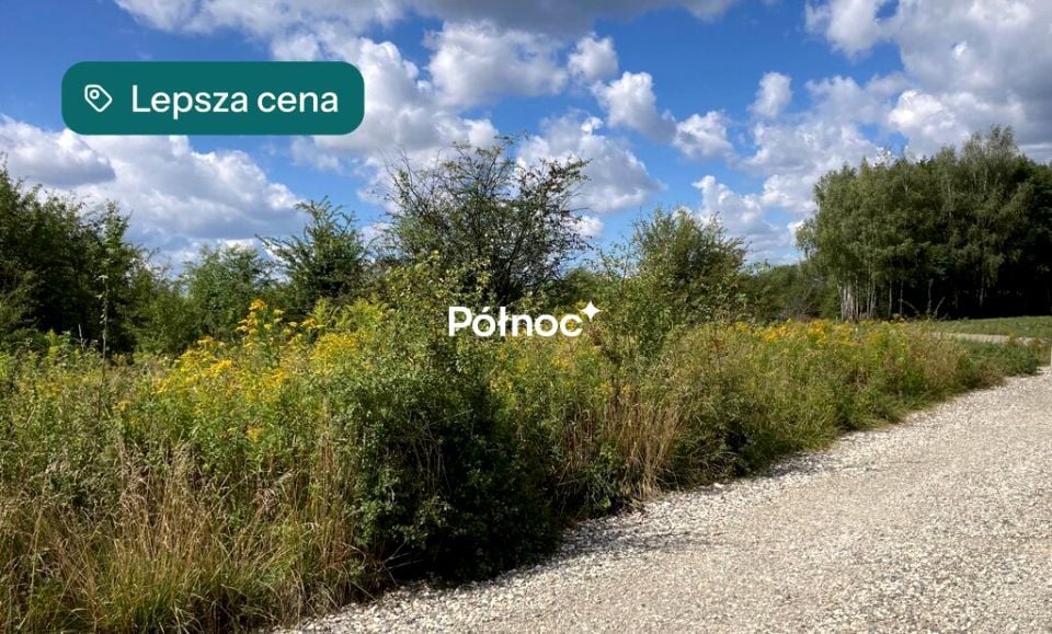 Działka przemysłowa Cikowice sprzedam