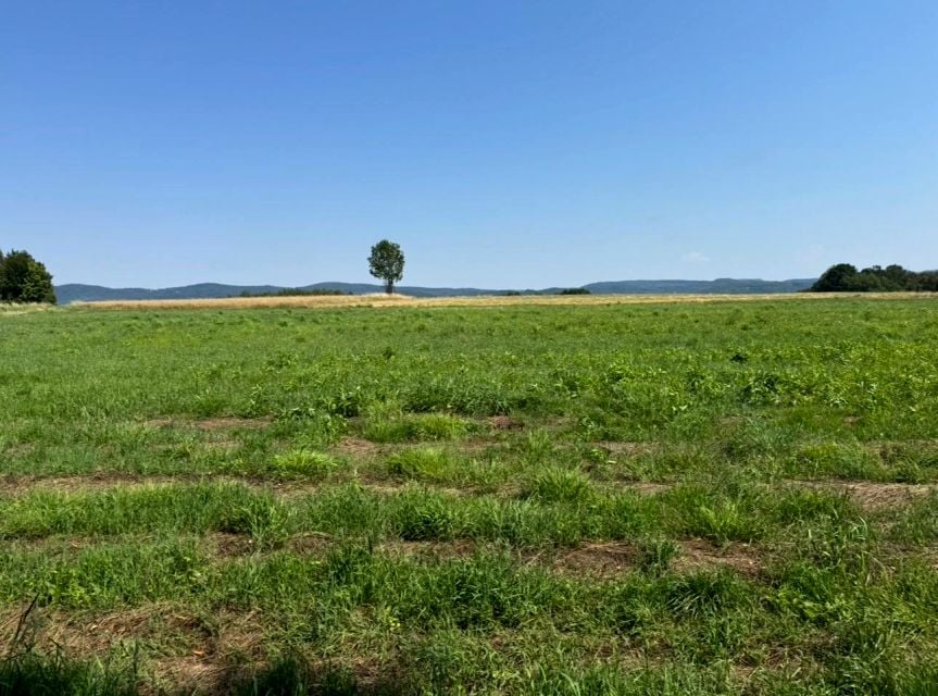 Działka budowlana Przybówka sprzedam