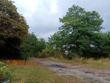 Działka inwestycyjna Sosnowiec